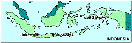 Map of Indonesia
