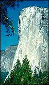 167009-elcapitan.jpg - 12629 Bytes