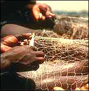 Mending Nets