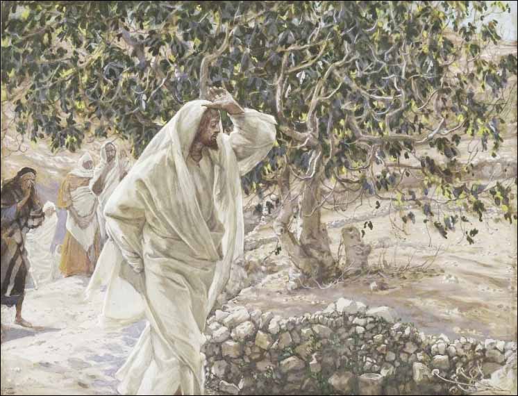 Tissot, The Accursed Fig Tree